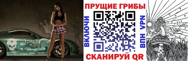 Псилоцибиновые грибы Psilocybine cubensis  Ангарск 